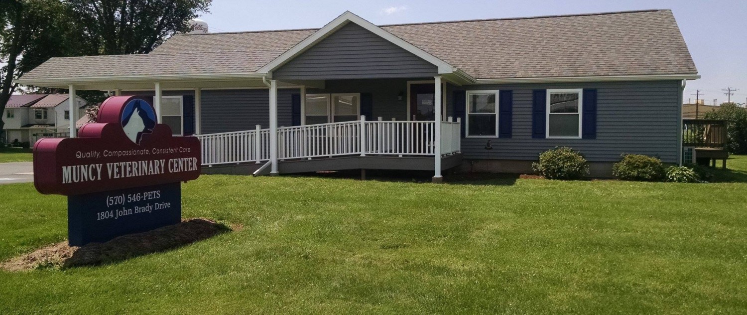 Muncy Veterinary Center you to our website!